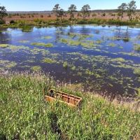 461 acre Bridgehouse Duck Hunting Lodge and Impoundment for Sale In Pamlico County NC images 5