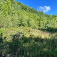 Pocono Area Gem images 2