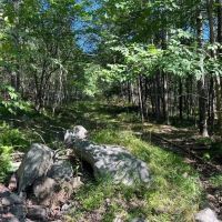 Pocono Area Gem images 5