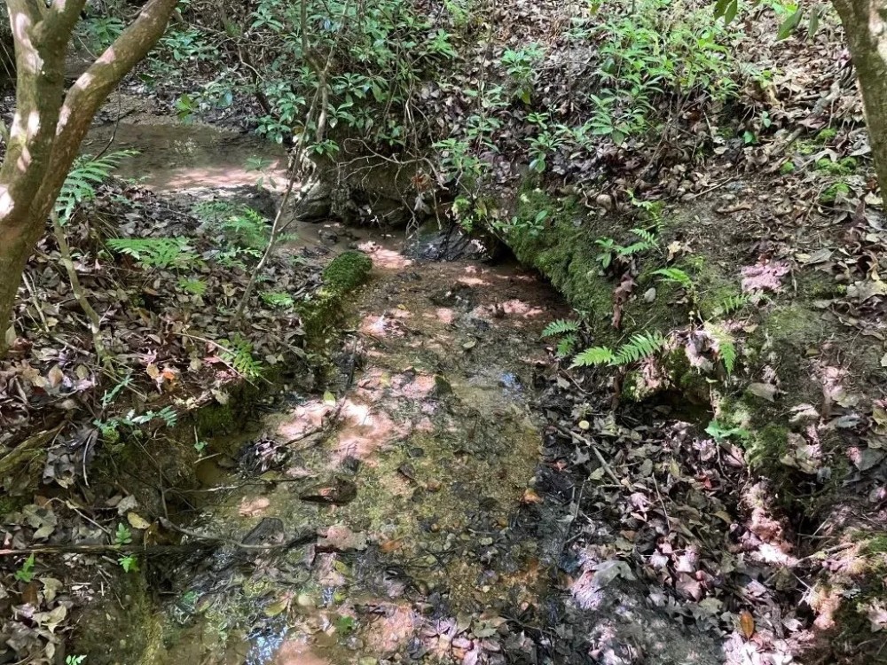 - 23.53 Acres Tract 7 on Whitewater Point Road in Tamassee SC featured image