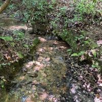 - 23.53 Acres Tract 7 on Whitewater Point Road in Tamassee SC images 1