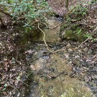 - 23.53 Acres Tract 7 on Whitewater Point Road in Tamassee SC images 2