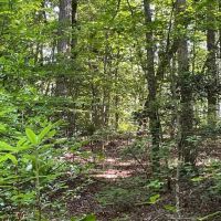 - 23.53 Acres Tract 7 on Whitewater Point Road in Tamassee SC images 4