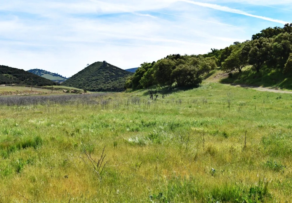 Come build your Southern Monterey County Estate featured image
