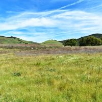 Come build your Southern Monterey County Estate images 2