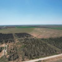 New Listing 154.9 - Acres Jones County images 2