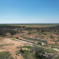 New Listing 154.9 - Acres Jones County images 3