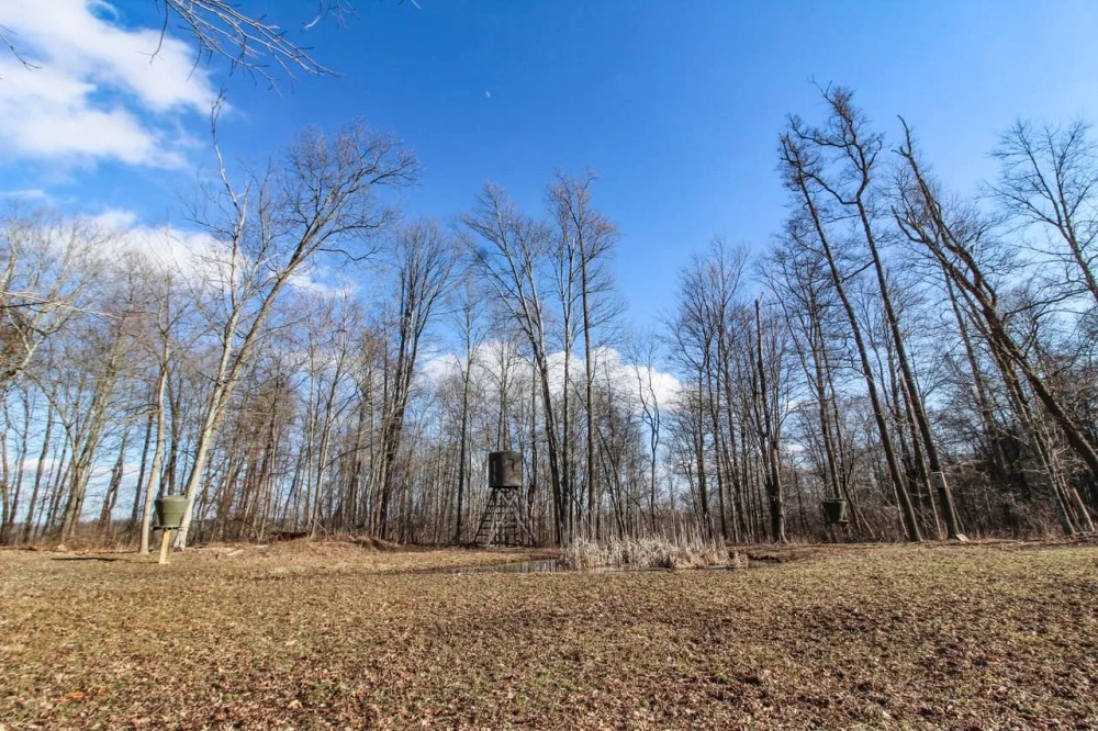 Pleasant Valley Rd - 33 acres - Muskingum County featured image
