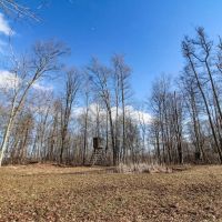 Pleasant Valley Rd - 33 acres - Muskingum County