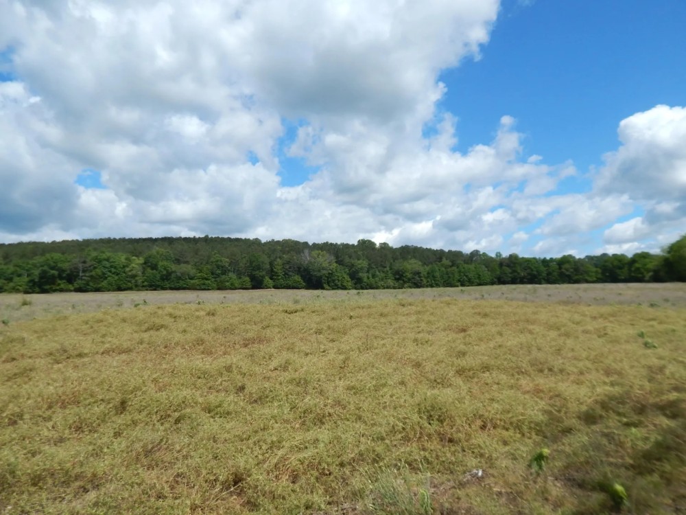 80 Acres Prime Land featured image