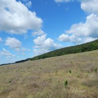 80 Acres Prime Land images 2
