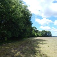 80 Acres Prime Land images 3