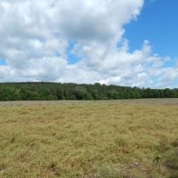 80 Acres Prime Land images 4