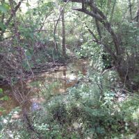 80 Acres Prime Land images 5