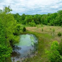 5 - Acres Fixer-upper House Shop Imboden Arkansas images 5