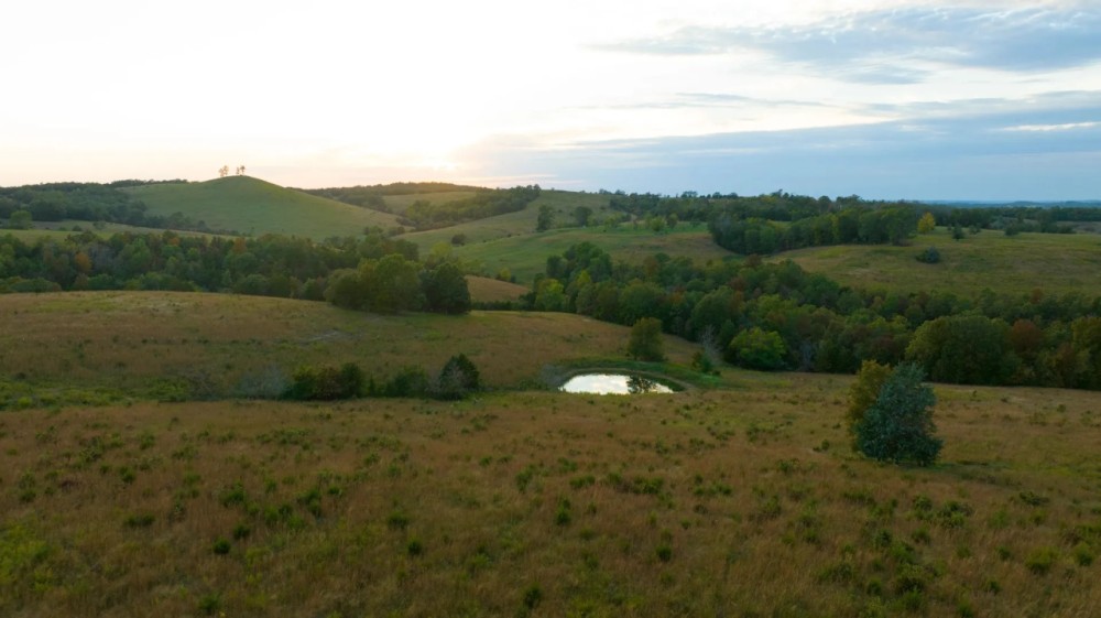 Pocket Hollow Ranch featured image