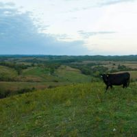 Pocket Hollow Ranch images 4