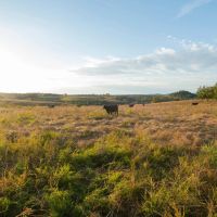 Pocket Hollow Ranch images 5