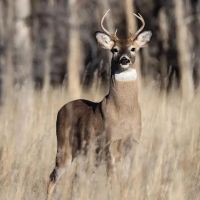 Jefferson River Preserve images 4
