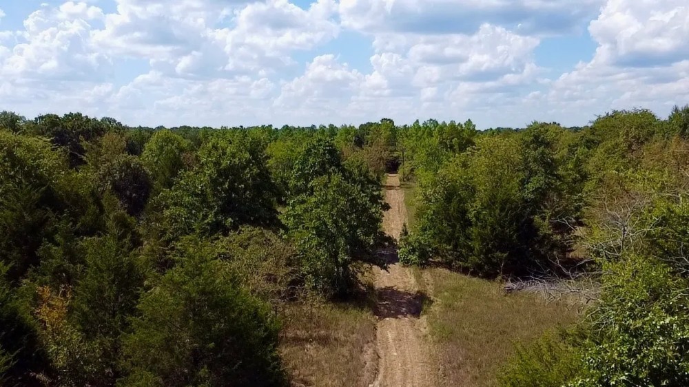 Beautiful 62 - Acres Adjoining WMA featured image