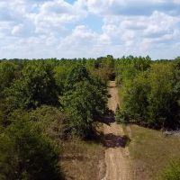 Beautiful 62 - Acres Adjoining WMA