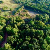 Beautiful 62 - Acres Adjoining WMA images 2