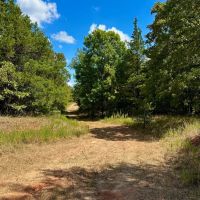 Beautiful 62 - Acres Adjoining WMA images 4