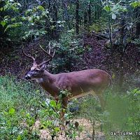 4,415.00 acres 2.25 hrs from dfw