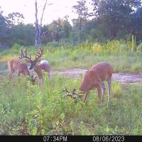 Cecil Prairie 242 images 3