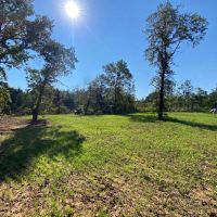 Cecil Prairie 242 images 5