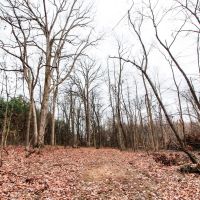 Pleasant Chapel Rd - 64 acres - Licking County images 3