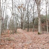 Pleasant Chapel Rd - 64 acres - Licking County images 4