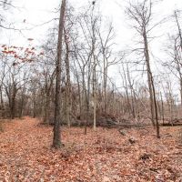 Pleasant Chapel Rd - 64 acres - Licking County images 5