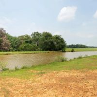 110 Acres in Burleson County images 2
