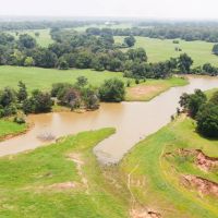 110 Acres in Burleson County images 3