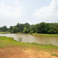 110 Acres in Burleson County images 4