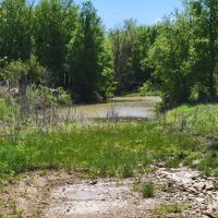 85 - Acres Brown County images 3