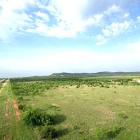 New Listing 15.26 Acres Taylor County