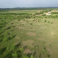 New Listing 15.26 Acres Taylor County images 4