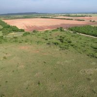 New Listing 15.26 Acres Taylor County images 5