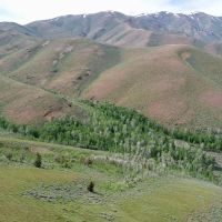 Cottonwood Ranch images 4