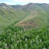 Cottonwood Ranch images 5