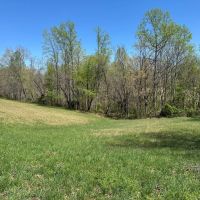 7 Acres 850 Beech Grove Rd Lafayette TN images 3