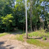 TR 124 - 30 acres - Perry County images 3