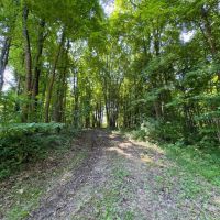 TR 124 - 30 acres - Perry County images 4