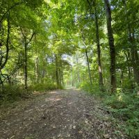 TR 124 - 30 acres - Perry County images 5
