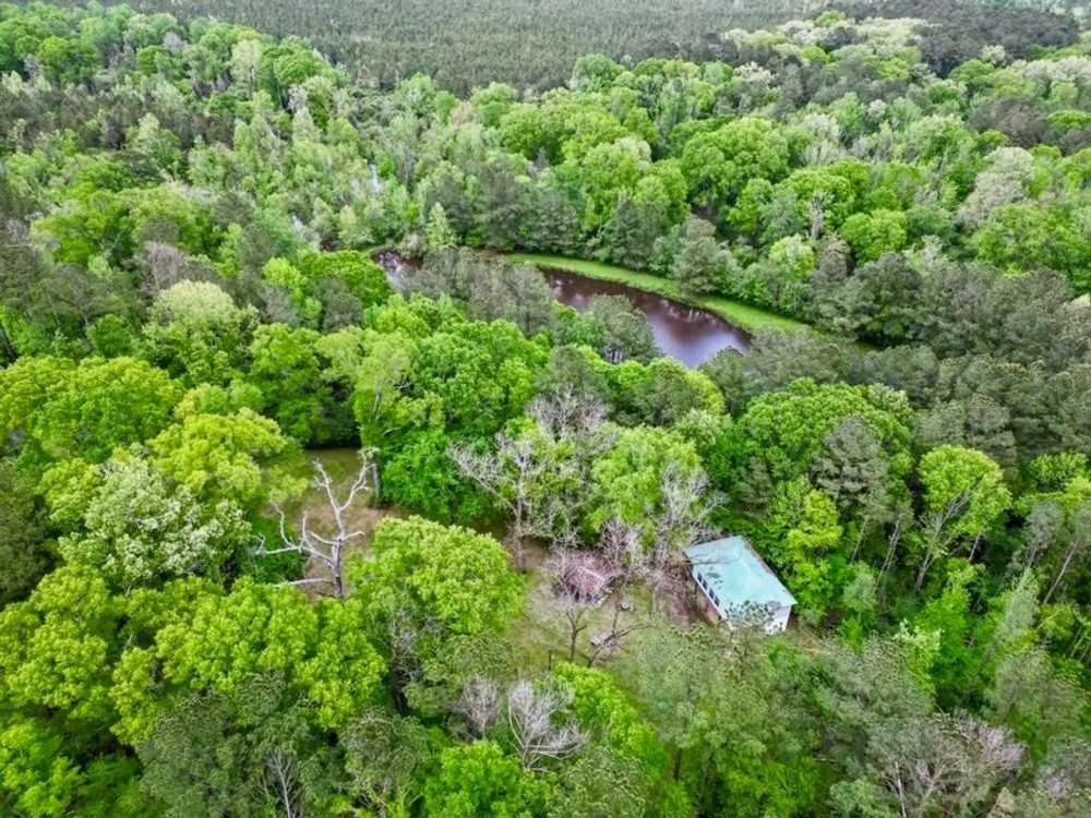 183 Acres and Camp for Sale with Lake Timber Amite Co. MS featured image