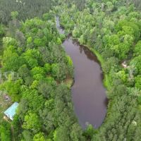 183 Acres and Camp for Sale with Lake Timber Amite Co. MS images 3
