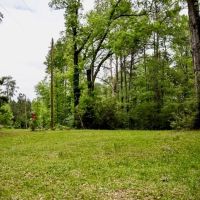 183 Acres and Camp for Sale with Lake Timber Amite Co. MS images 4