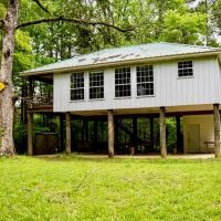 183 Acres and Camp for Sale with Lake Timber Amite Co. MS images 5